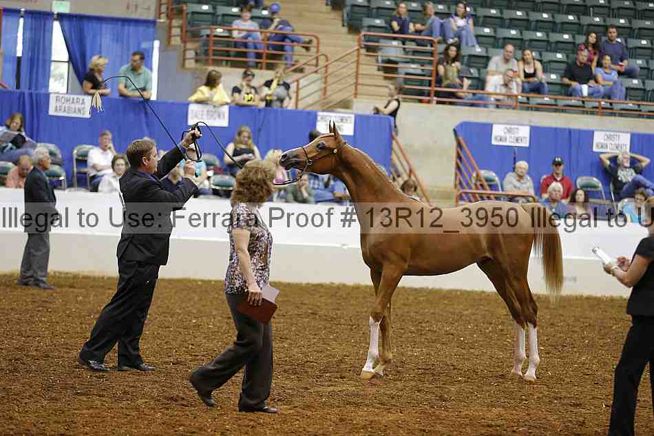 Proof 13r12_3950