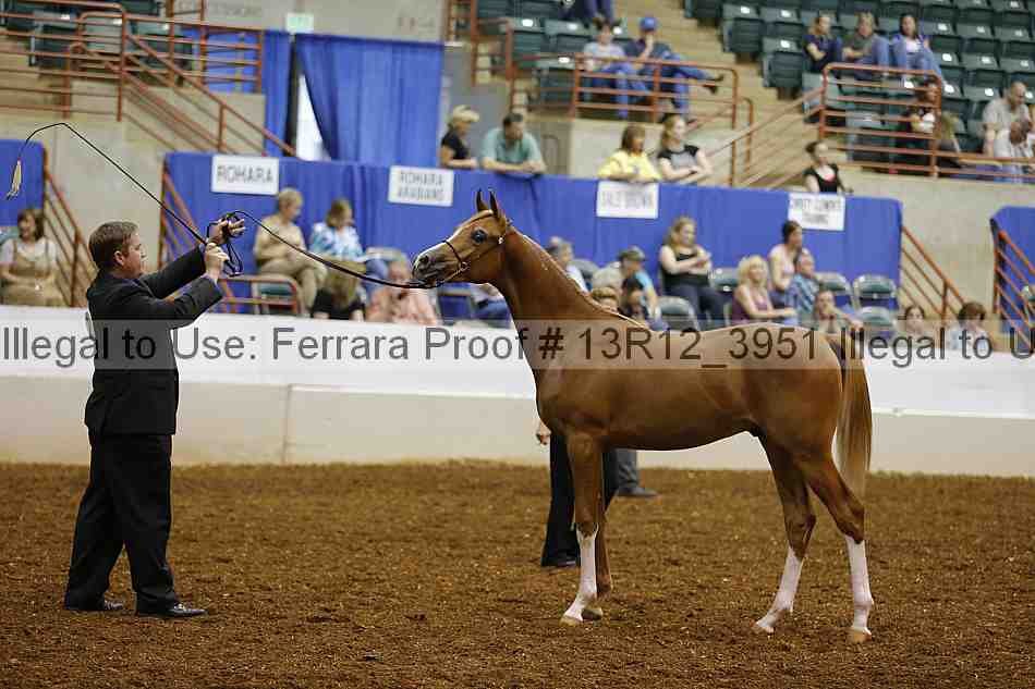 Proof 13r12_3951