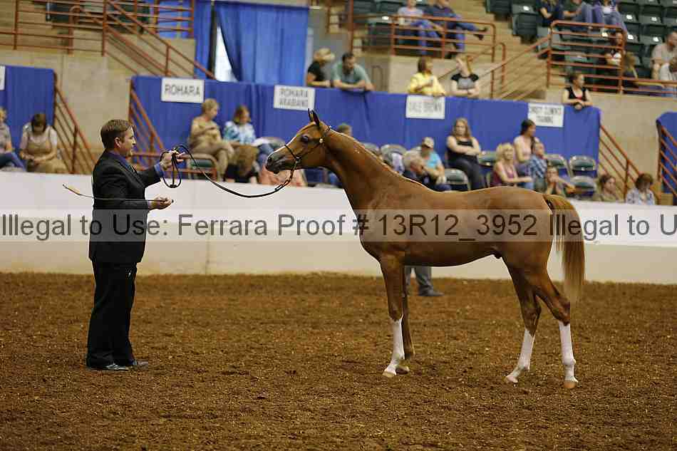 Proof 13r12_3952