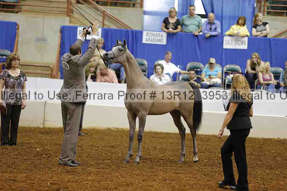 Proof 13r12_3953
