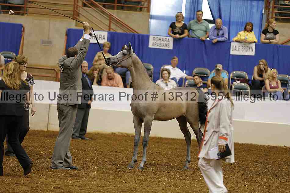 Proof 13r12_3954