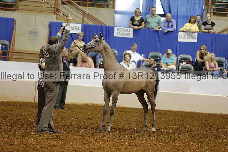 Proof 13r12_3955