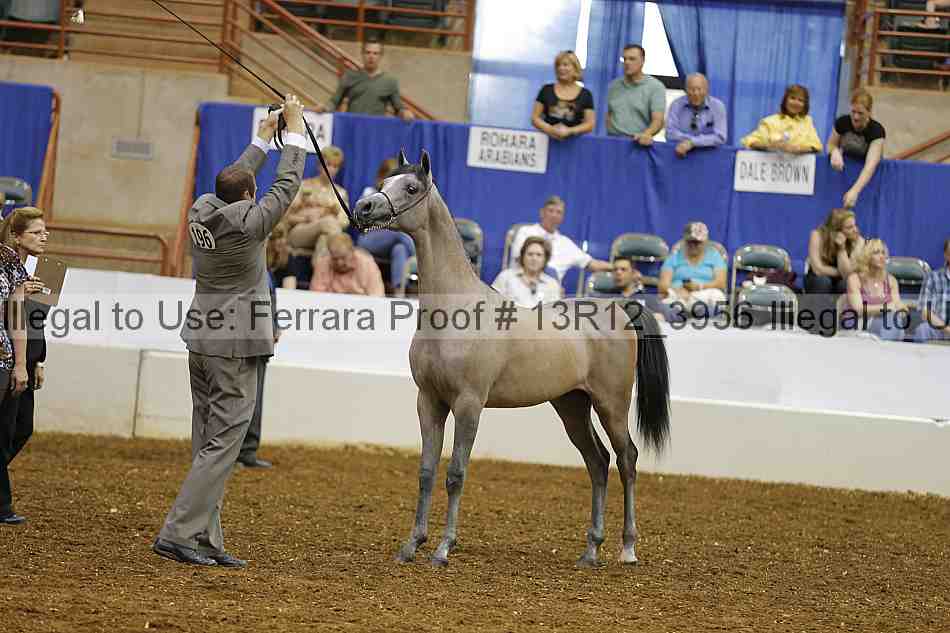 Proof 13r12_3956