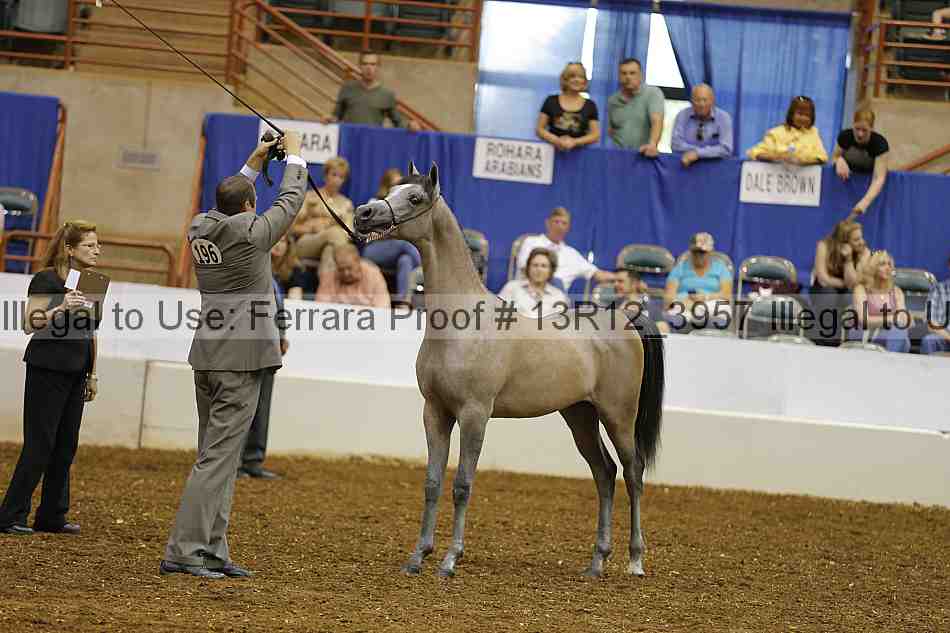 Proof 13r12_3957