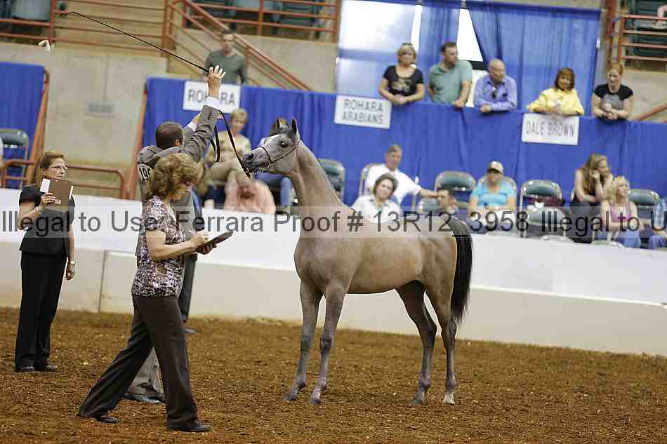 Proof 13r12_3958