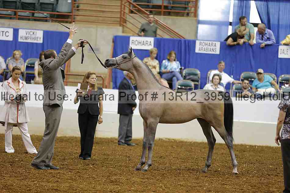Proof 13r12_3959