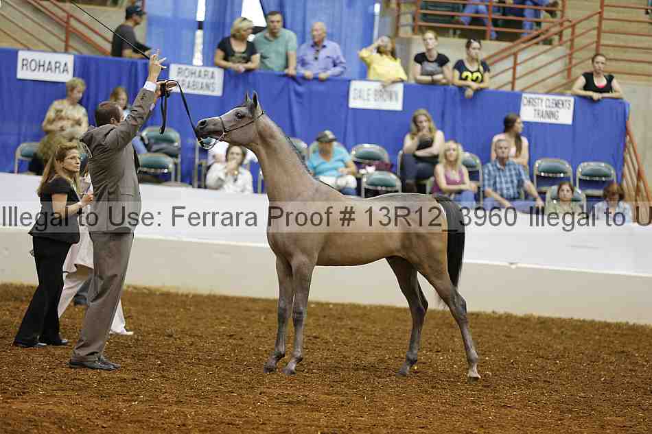 Proof 13r12_3960
