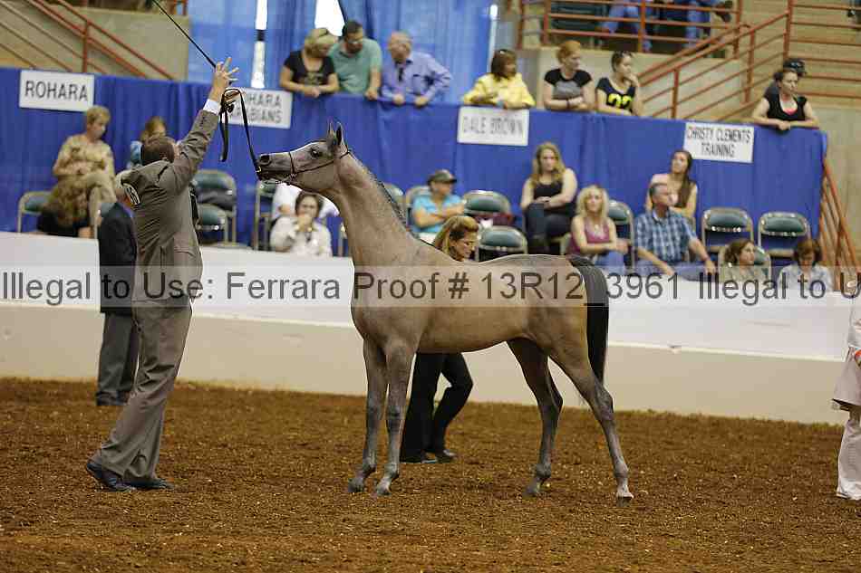 Proof 13r12_3961