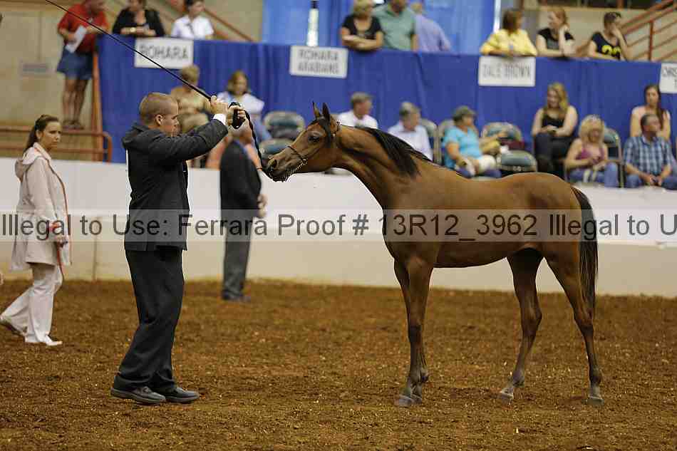 Proof 13r12_3962