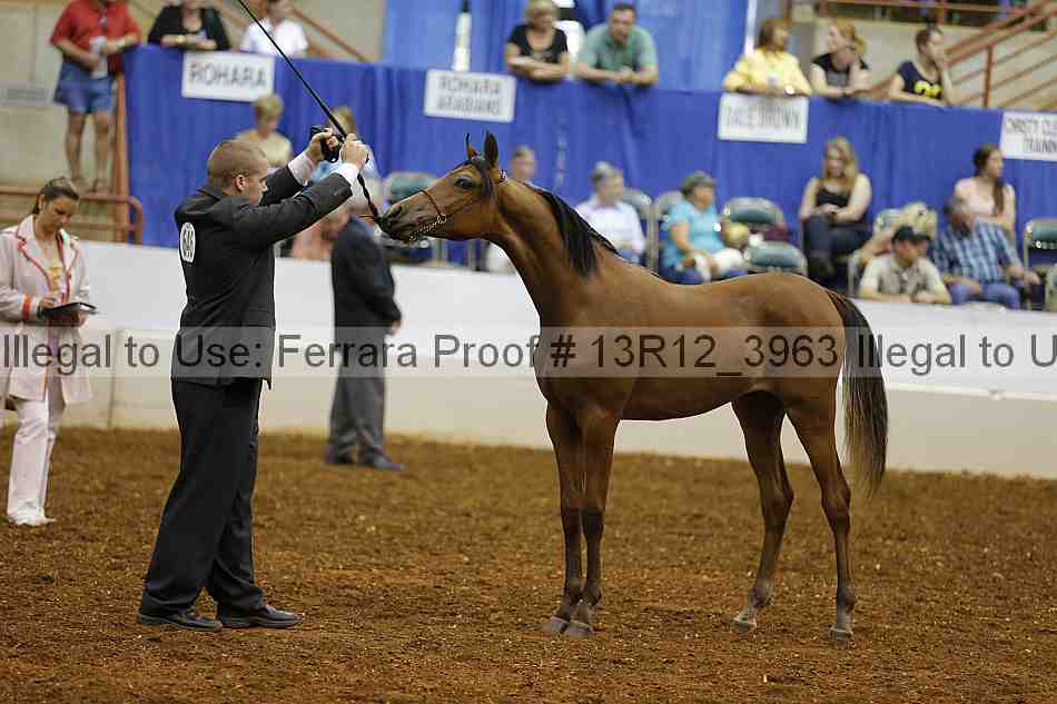 Proof 13r12_3963