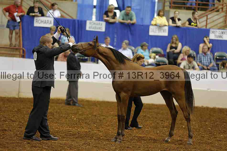 Proof 13r12_3964