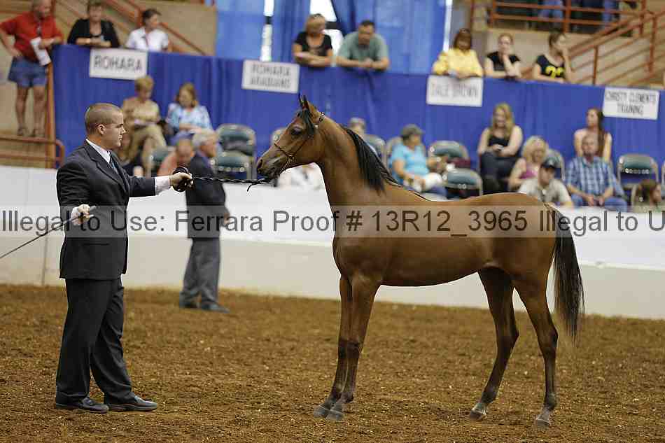 Proof 13r12_3965