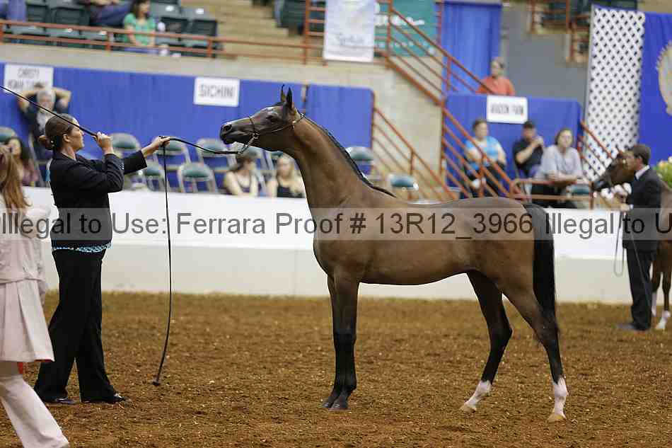Proof 13r12_3966
