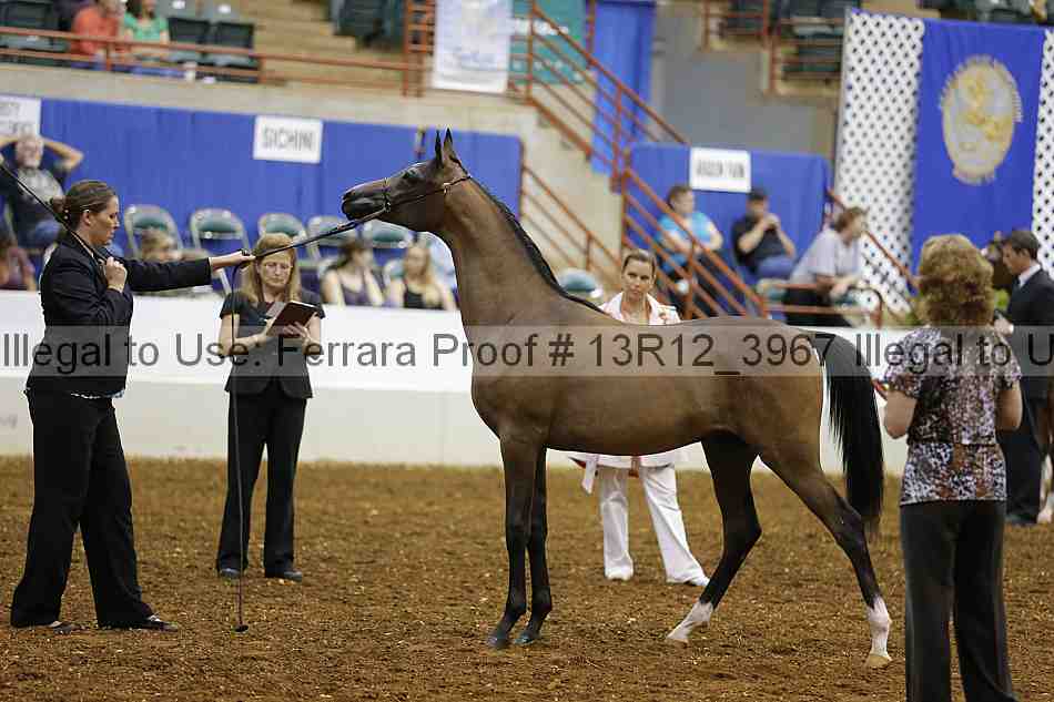 Proof 13r12_3967