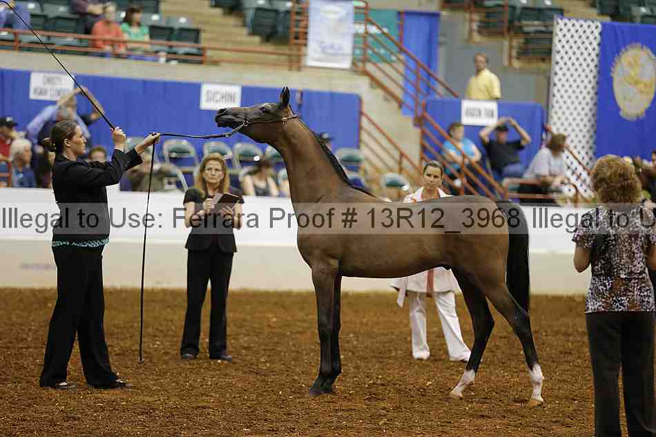 Proof 13r12_3968
