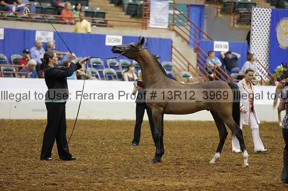 Proof 13r12_3969