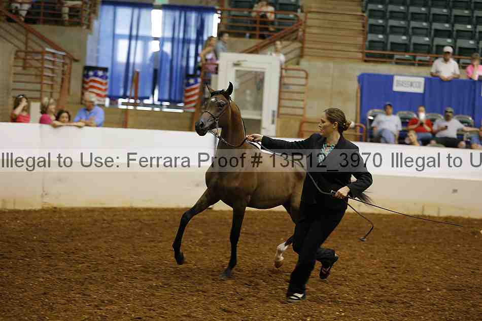 Proof 13r12_3970