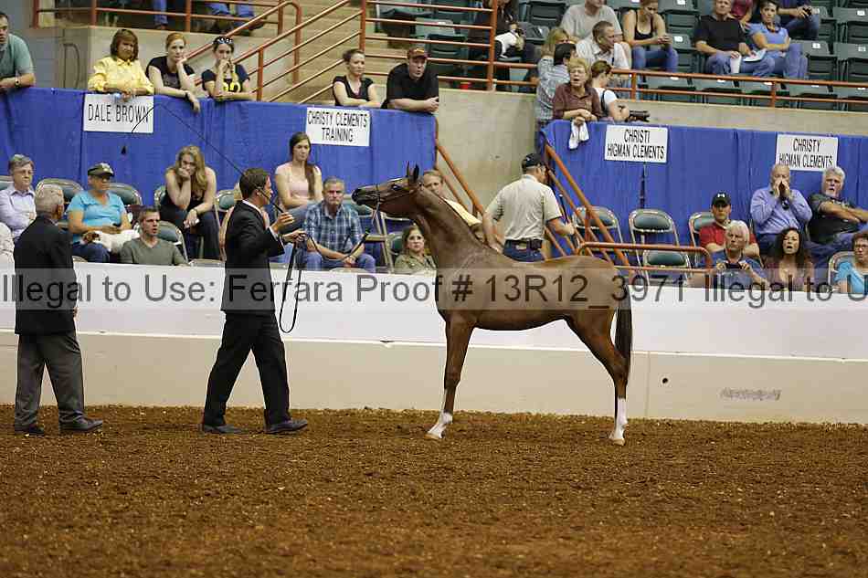 Proof 13r12_3971