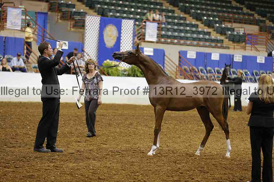 Proof 13r12_3972