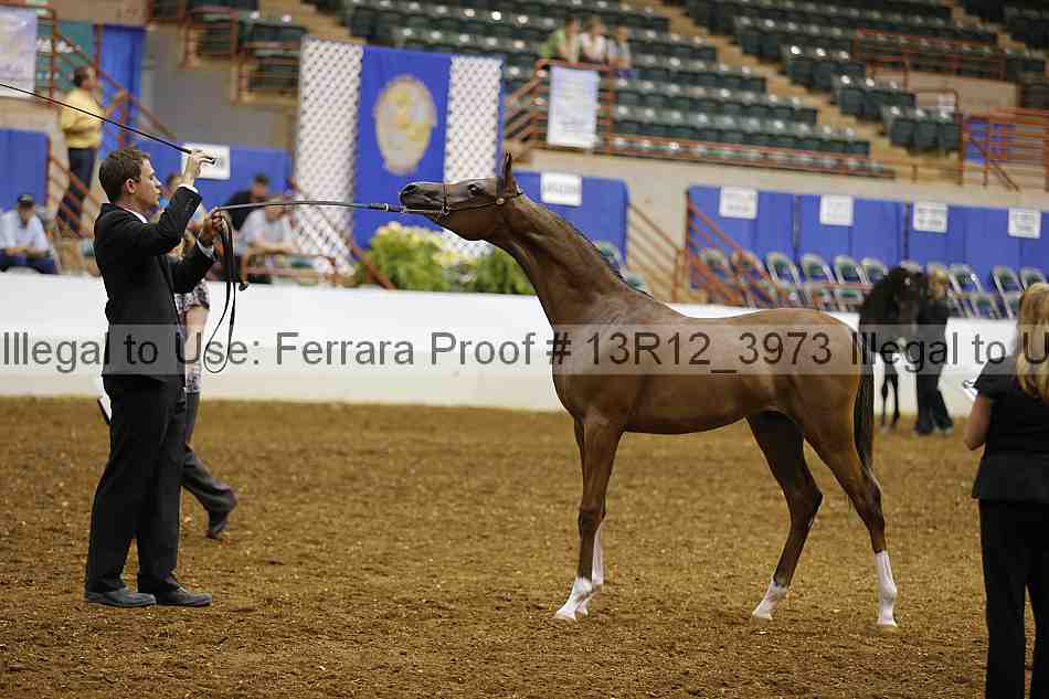 Proof 13r12_3973