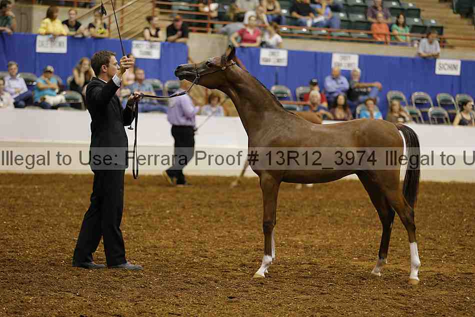 Proof 13r12_3974