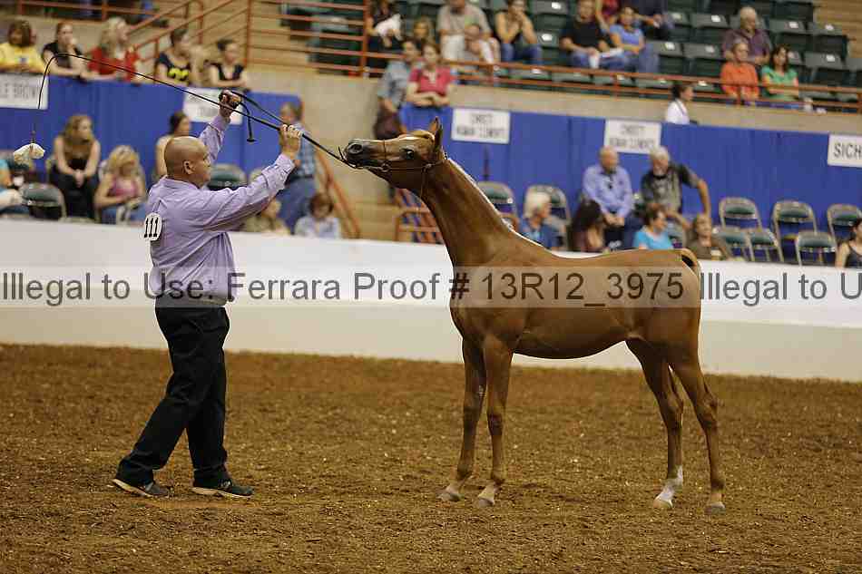 Proof 13r12_3975