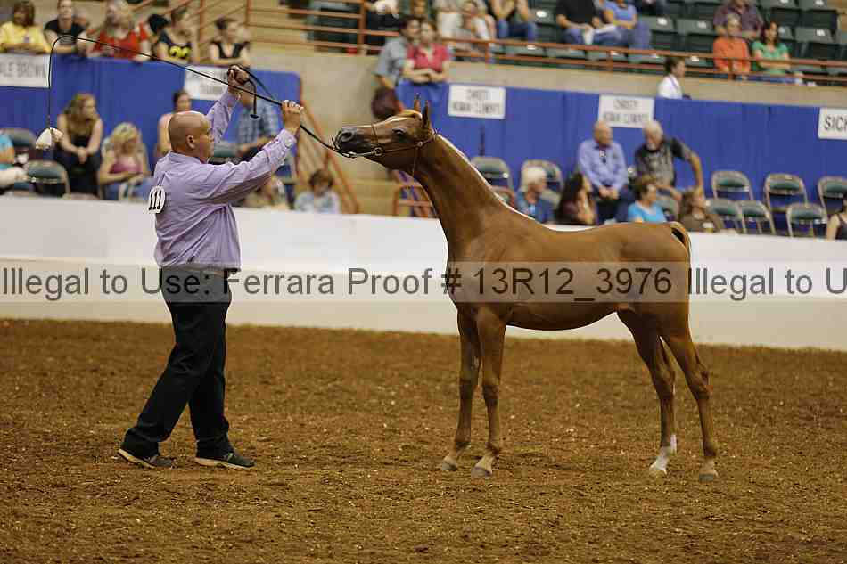 Proof 13r12_3976