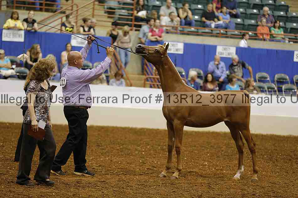 Proof 13r12_3977