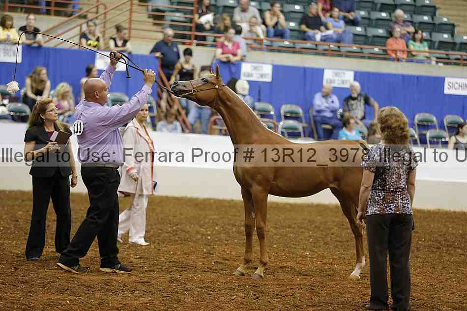 Proof 13r12_3978