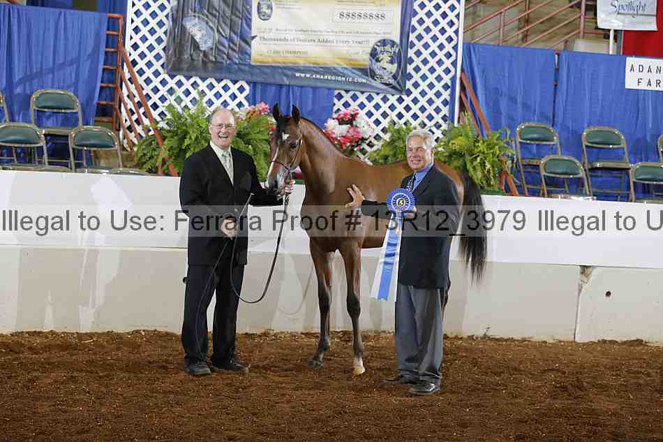Proof 13r12_3979