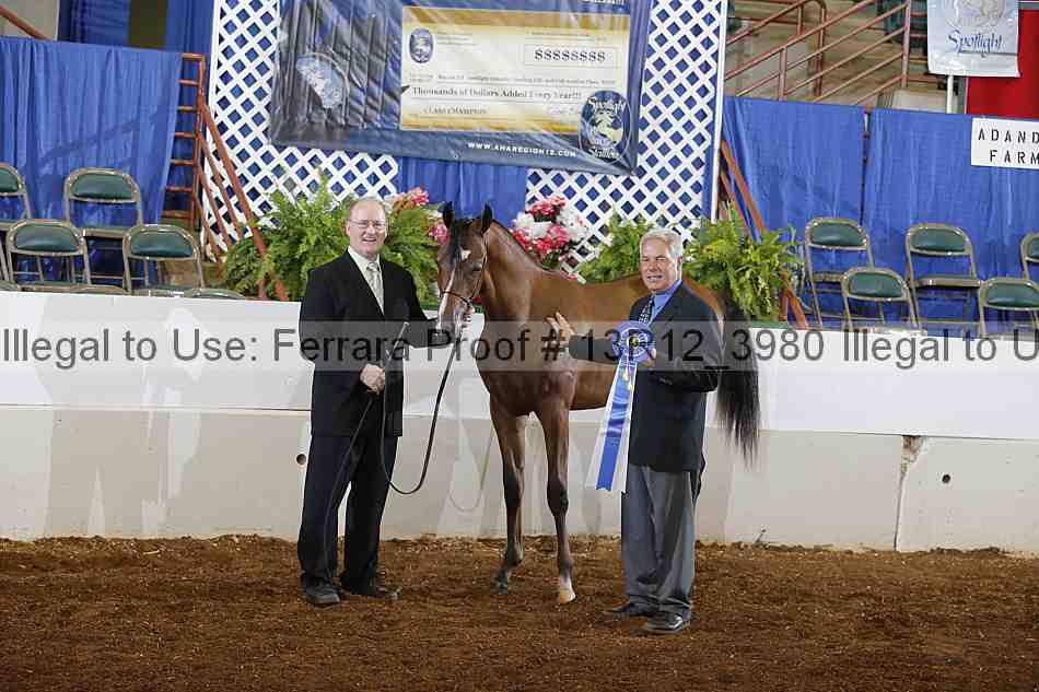 Proof 13r12_3980