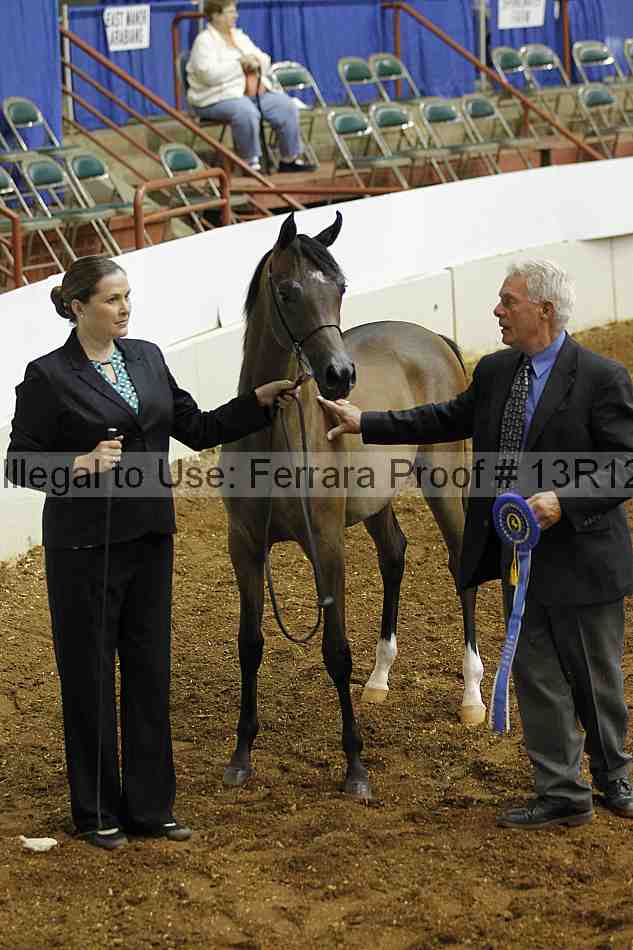 Proof 13r12_3981