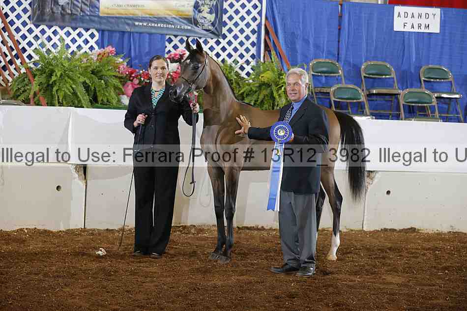 Proof 13r12_3982