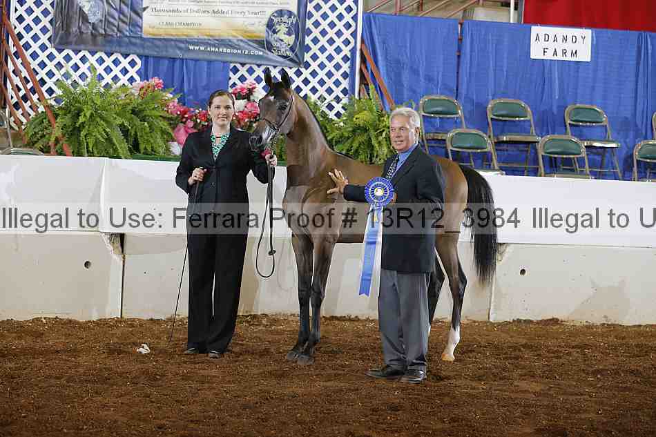 Proof 13r12_3984