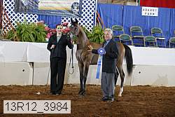 13r12_3984 proof