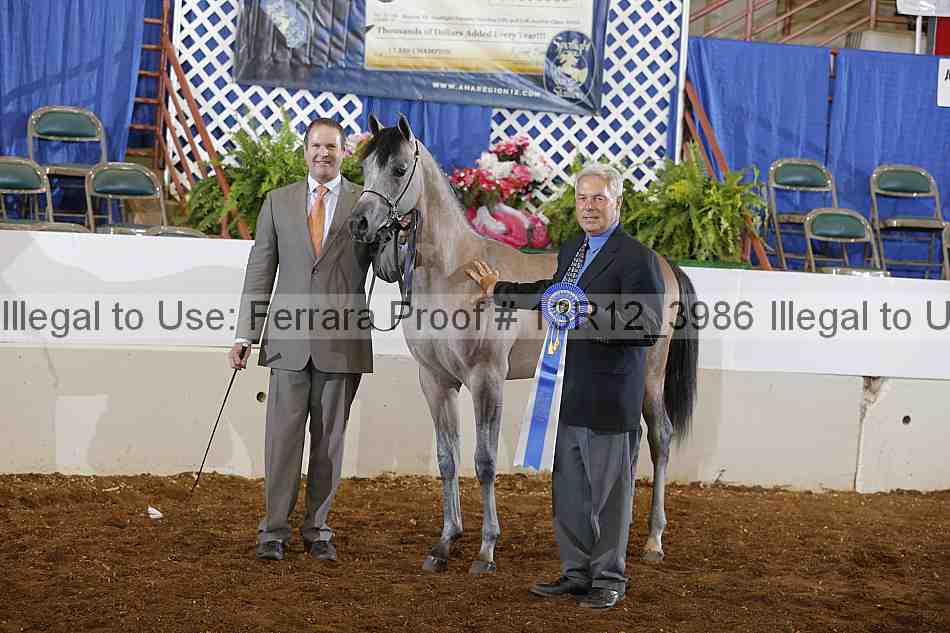 Proof 13r12_3986