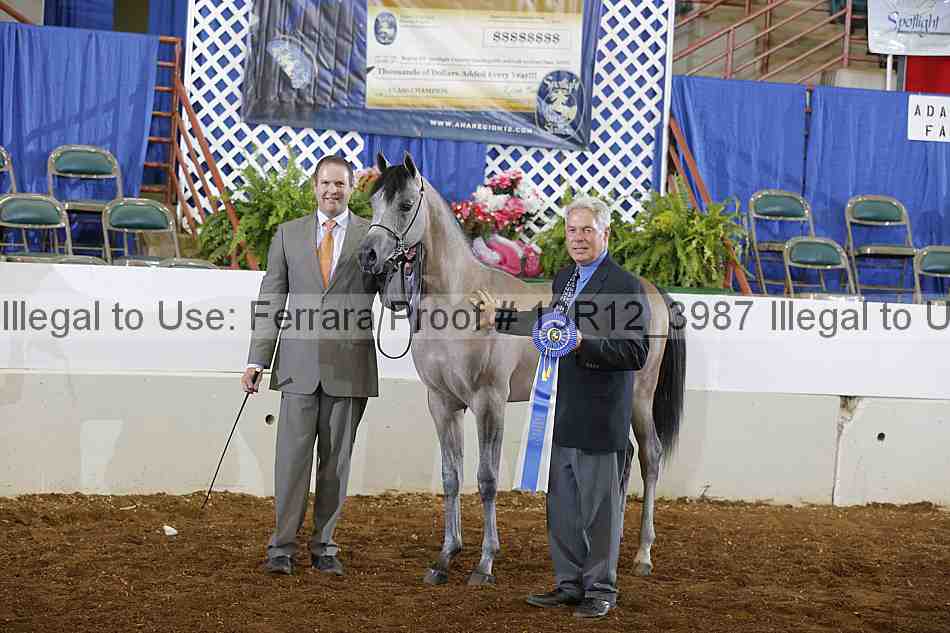 Proof 13r12_3987