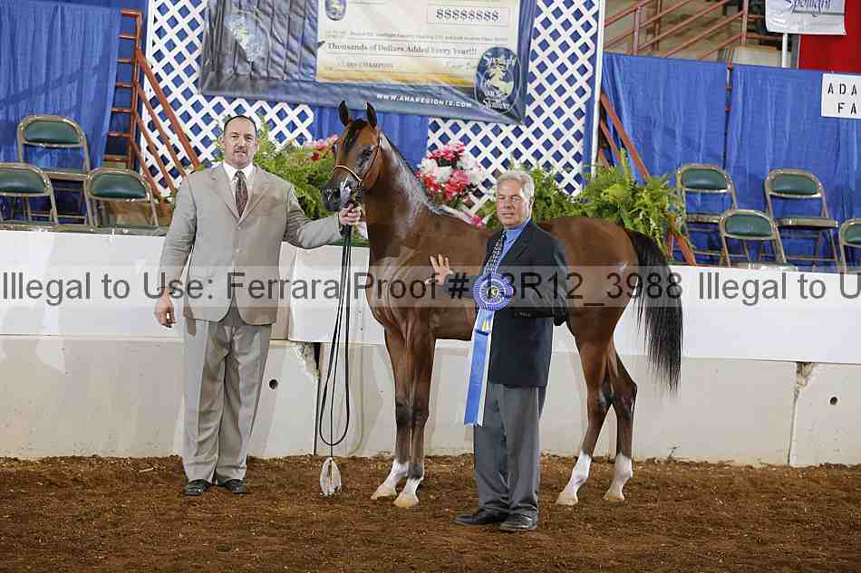 Proof 13r12_3988