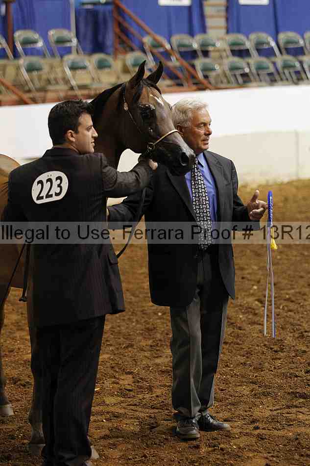 Proof 13r12_3992