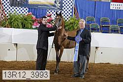 13r12_3993 proof