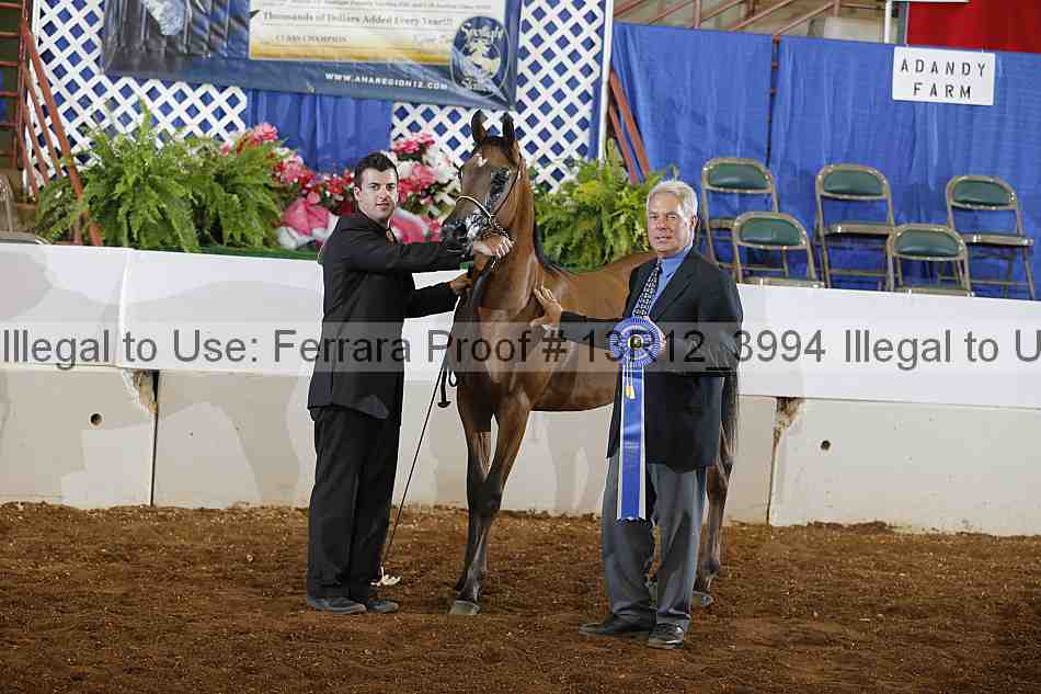 Proof 13r12_3994