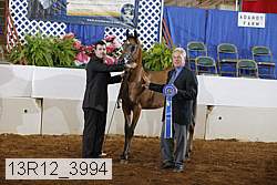 13r12_3994 proof