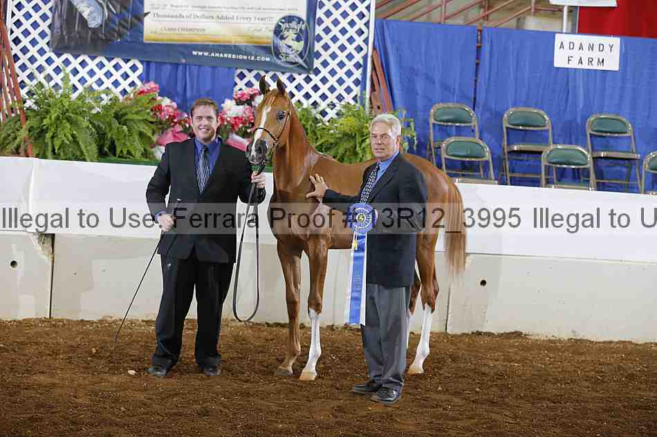Proof 13r12_3995