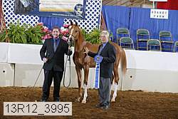 13r12_3995 proof