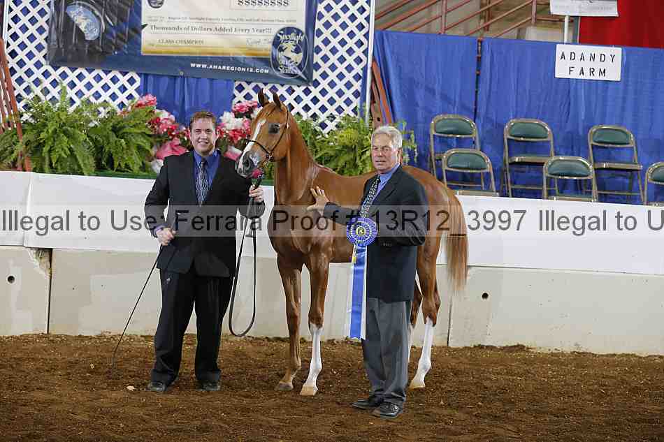 Proof 13r12_3997