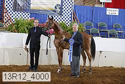 13r12_4000 proof