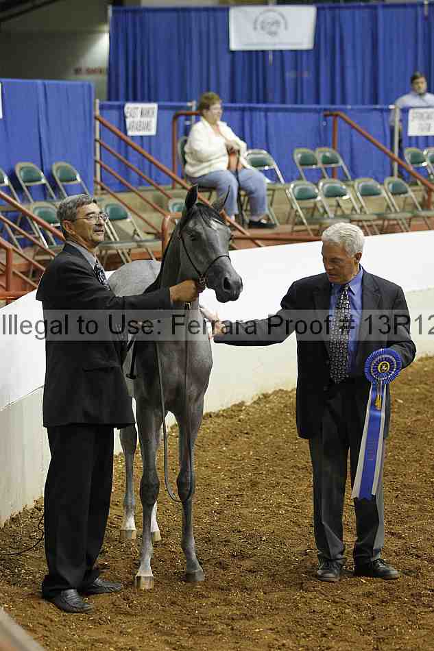 Proof 13r12_4001