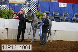 13r12_4004 proof