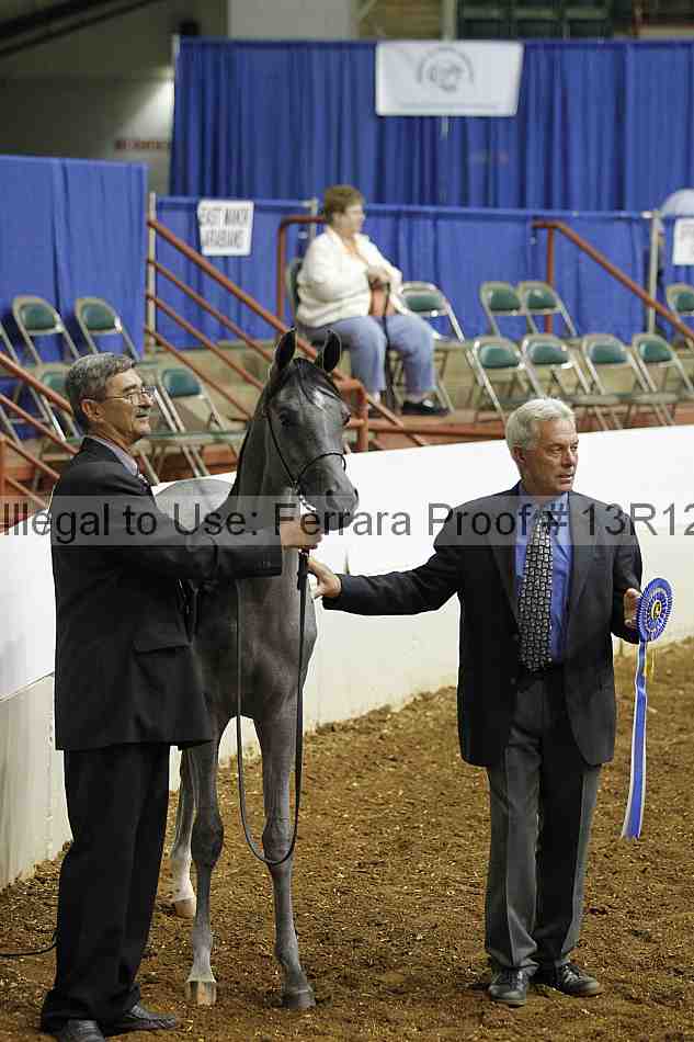 Proof 13r12_4005