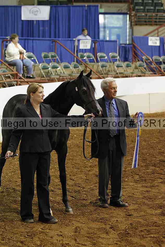 Proof 13r12_4006